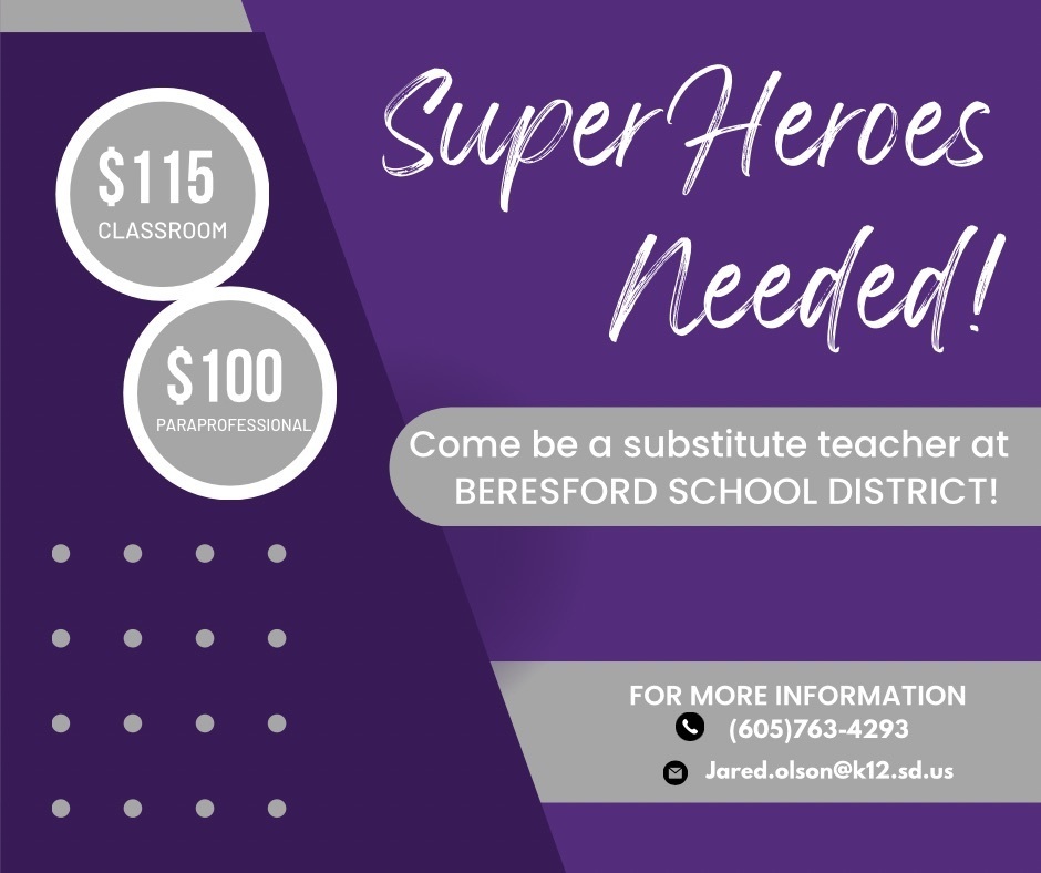 Come be a substitute teacher at BSD!